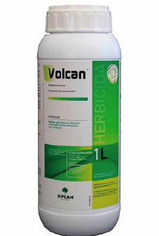 Volcan